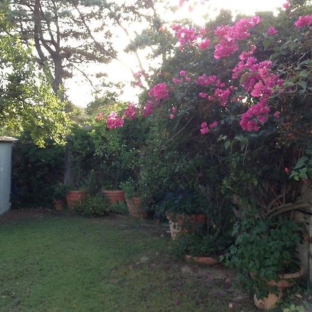 Deliziosa Villa 150 Metri Dal Mare Quartu SantʼElena Dış mekan fotoğraf